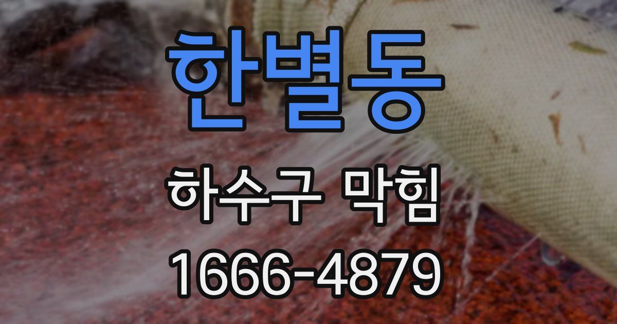 한별동 하수구 막힘
