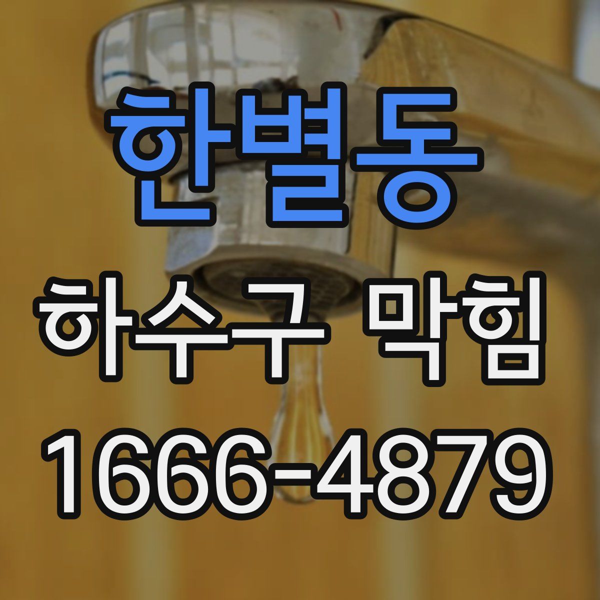 한별동 하수구 막힘