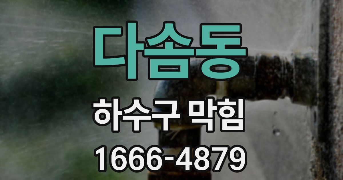 다솜동 하수구 막힘