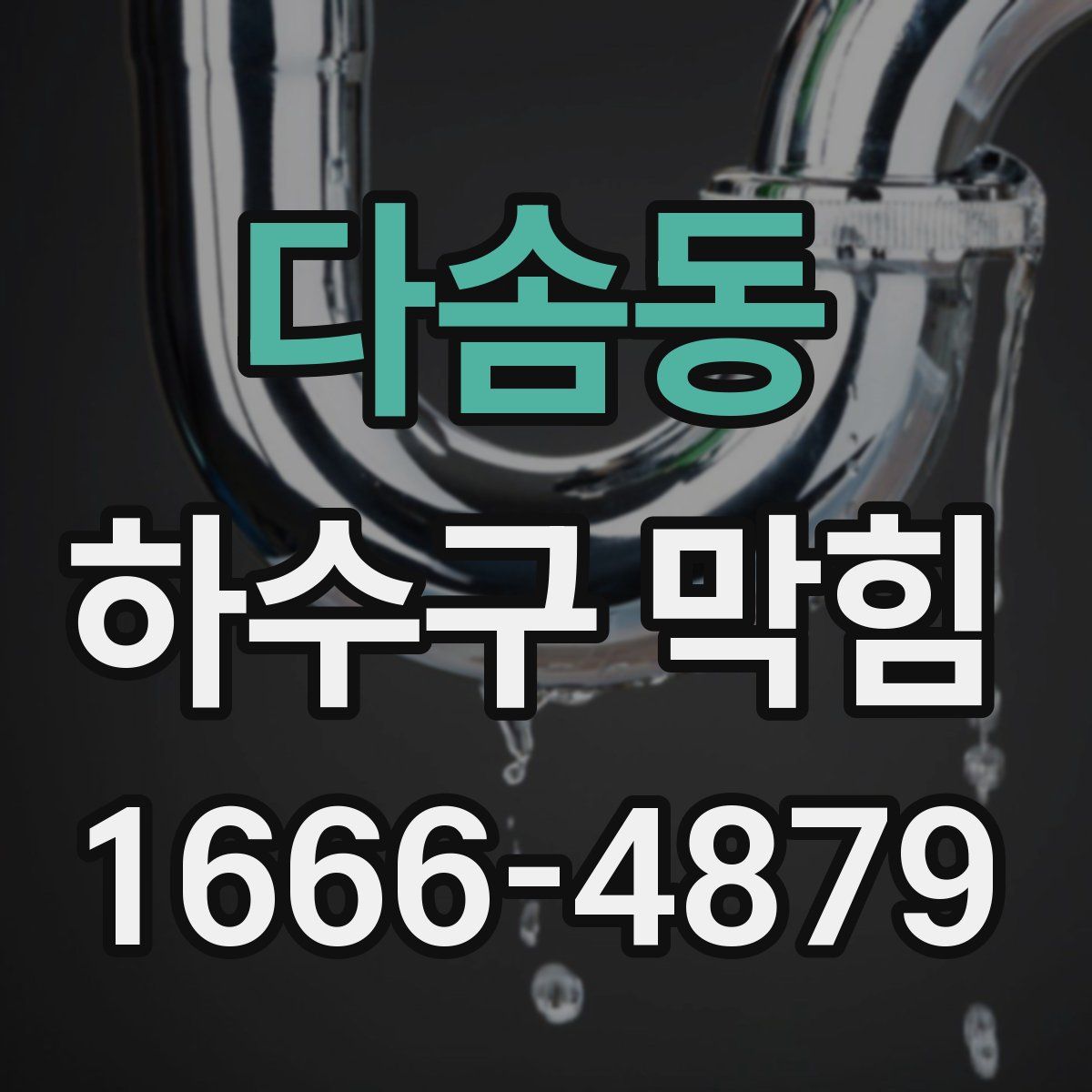 다솜동 하수구 막힘