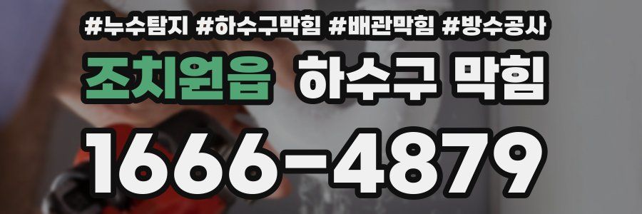 조치원읍 하수구 막힘