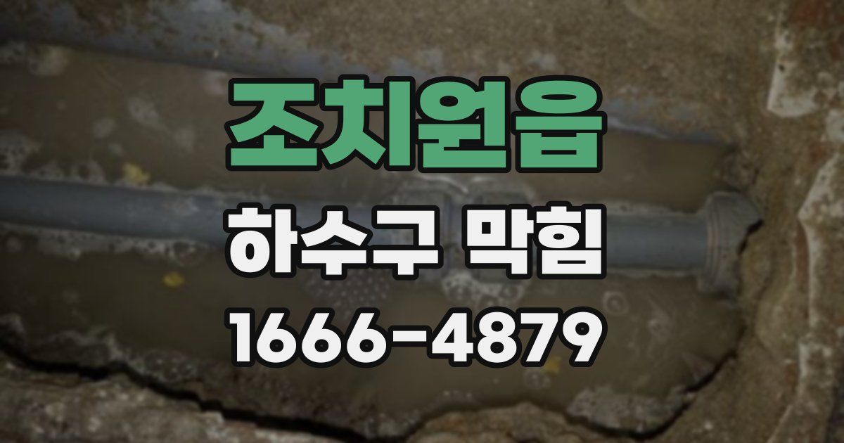 조치원읍 하수구 막힘