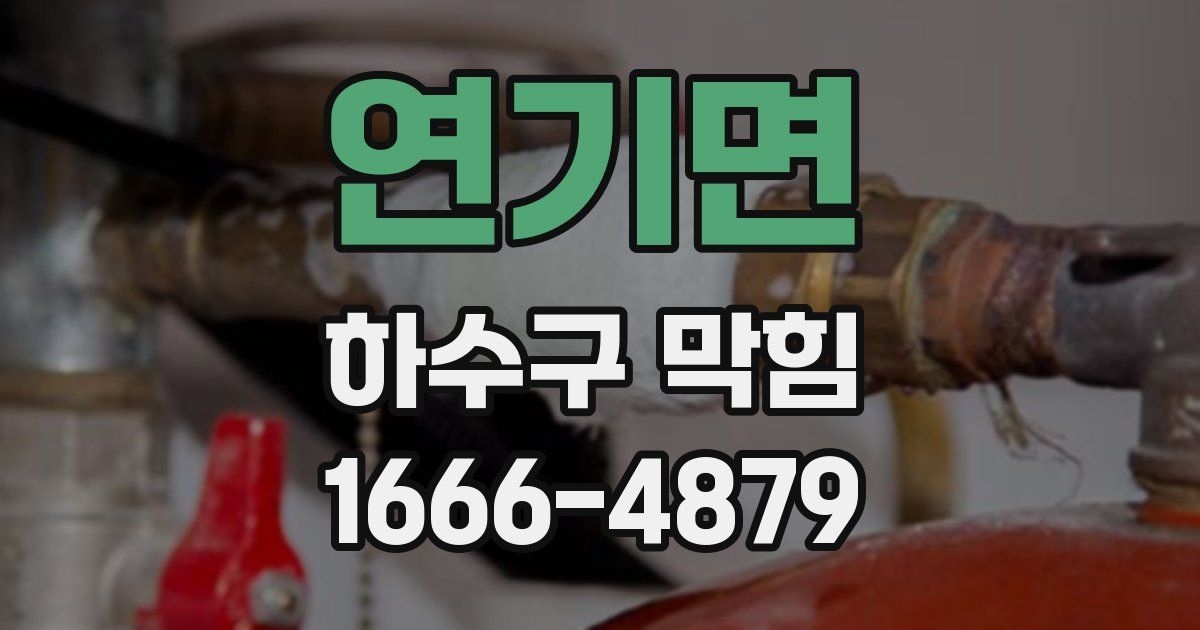 연기면 하수구 막힘