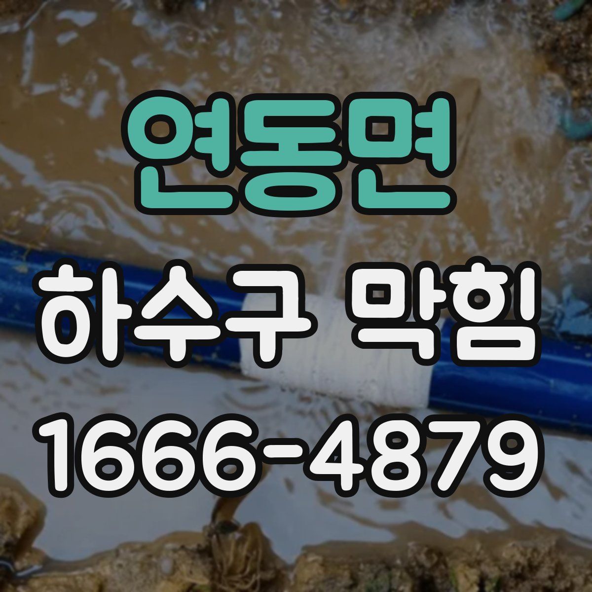 연동면 하수구 막힘