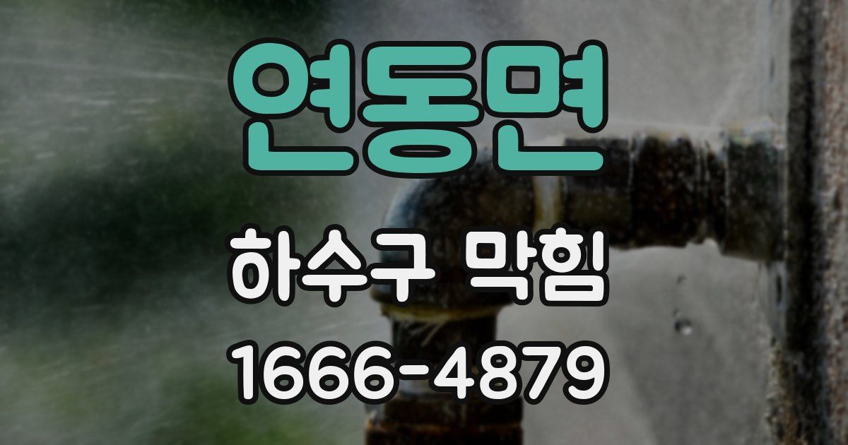 연동면 하수구 막힘