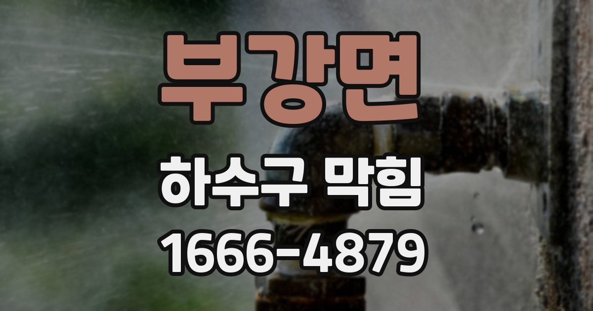 부강면 하수구 막힘