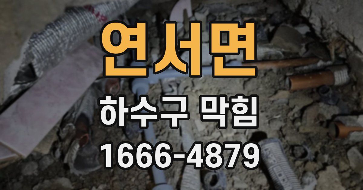 연서면 하수구 막힘