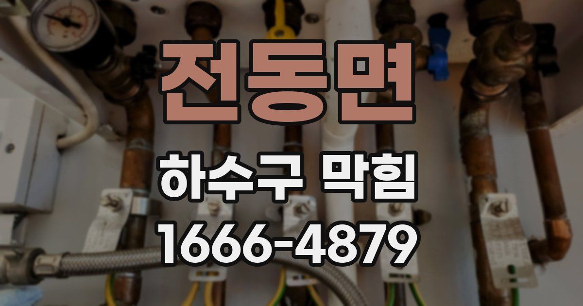 전동면 하수구 막힘
