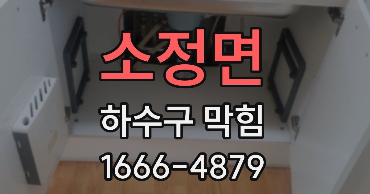 소정면 하수구 막힘