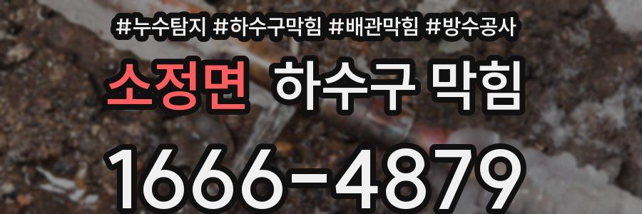 소정면 하수구 막힘