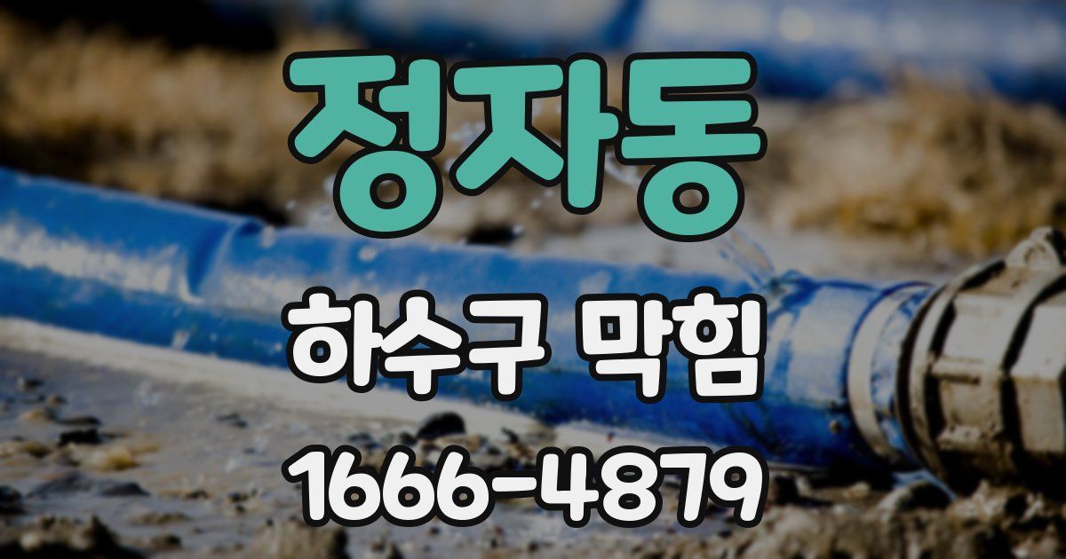 정자동 하수구 막힘
