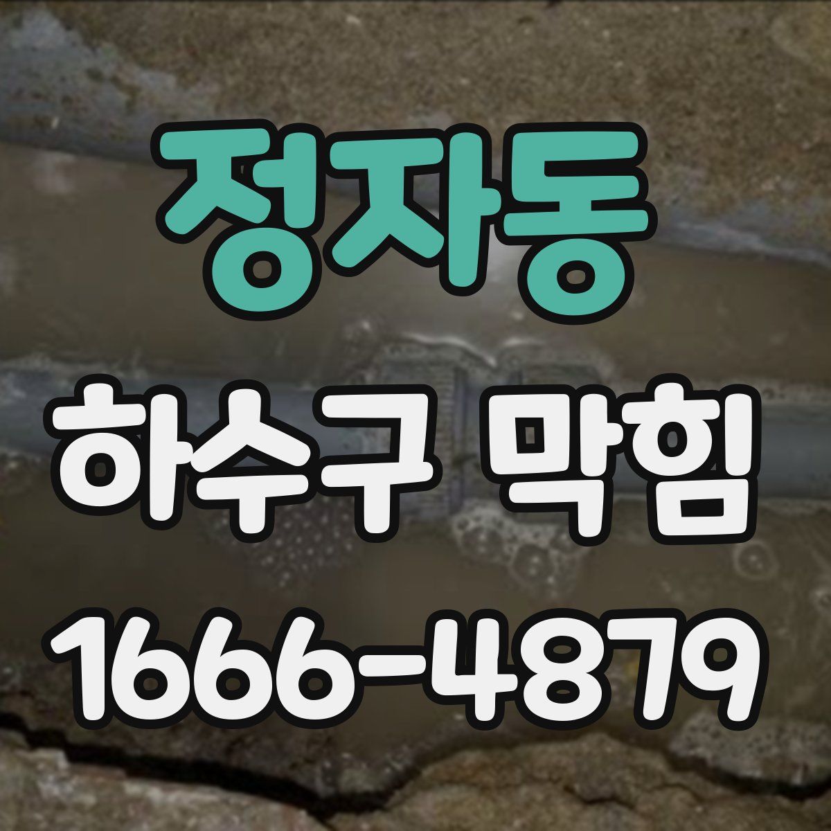 정자동 하수구 막힘