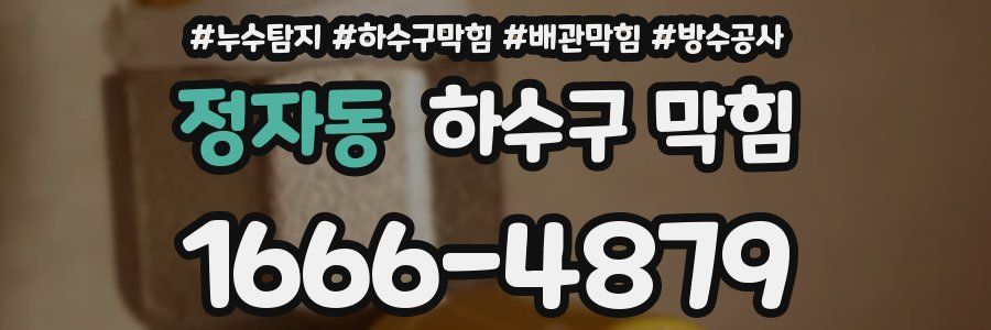 정자동 하수구 막힘