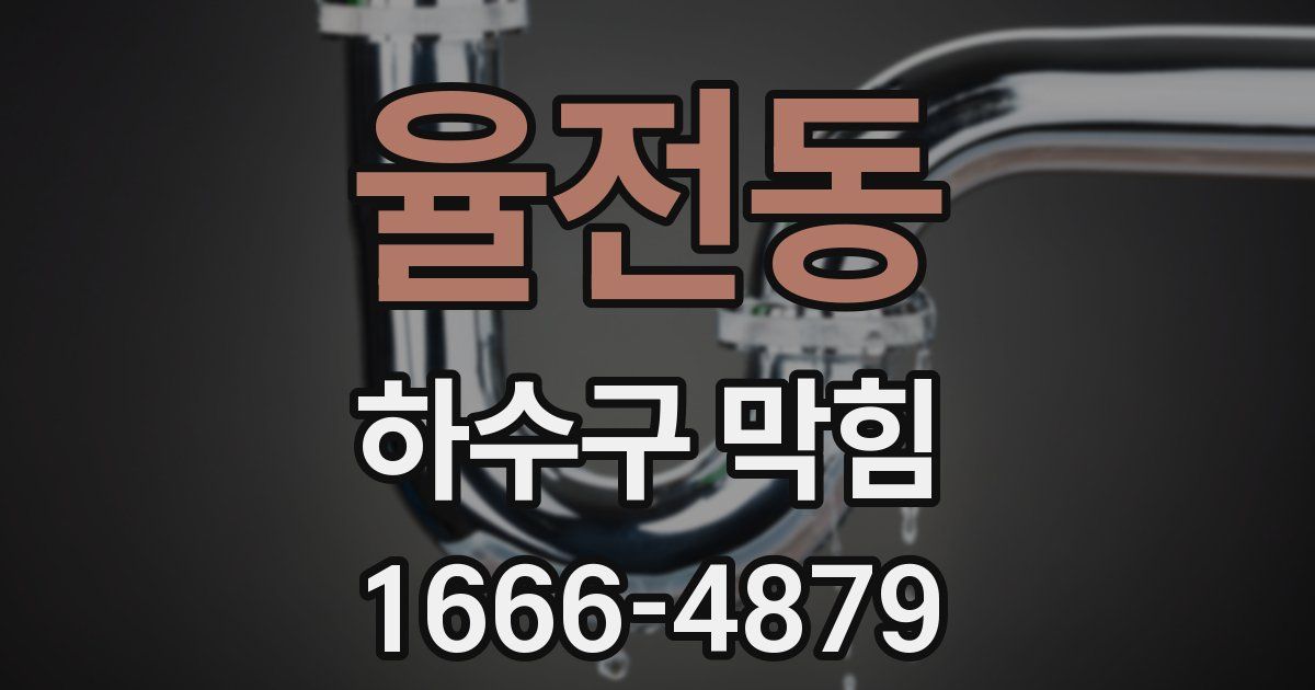 율전동 하수구 막힘