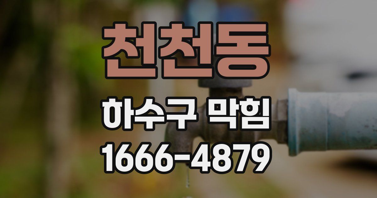 천천동 하수구 막힘