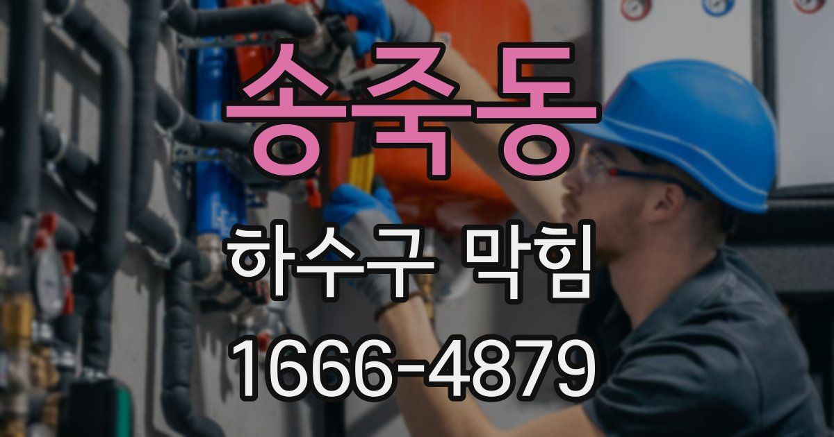 송죽동 하수구 막힘