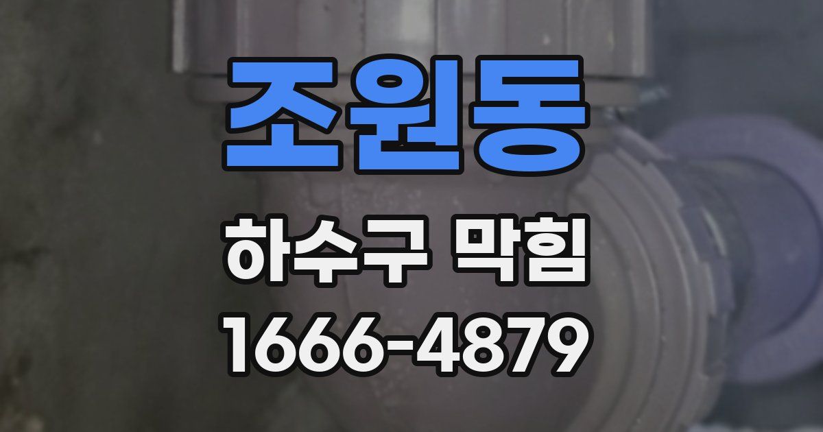 조원동 하수구 막힘
