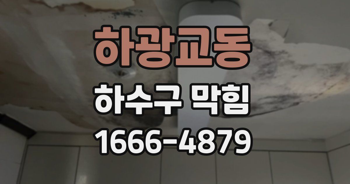 하광교동 하수구 막힘