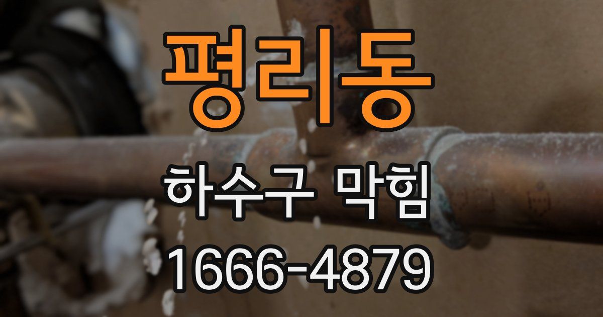 평리동 하수구 막힘