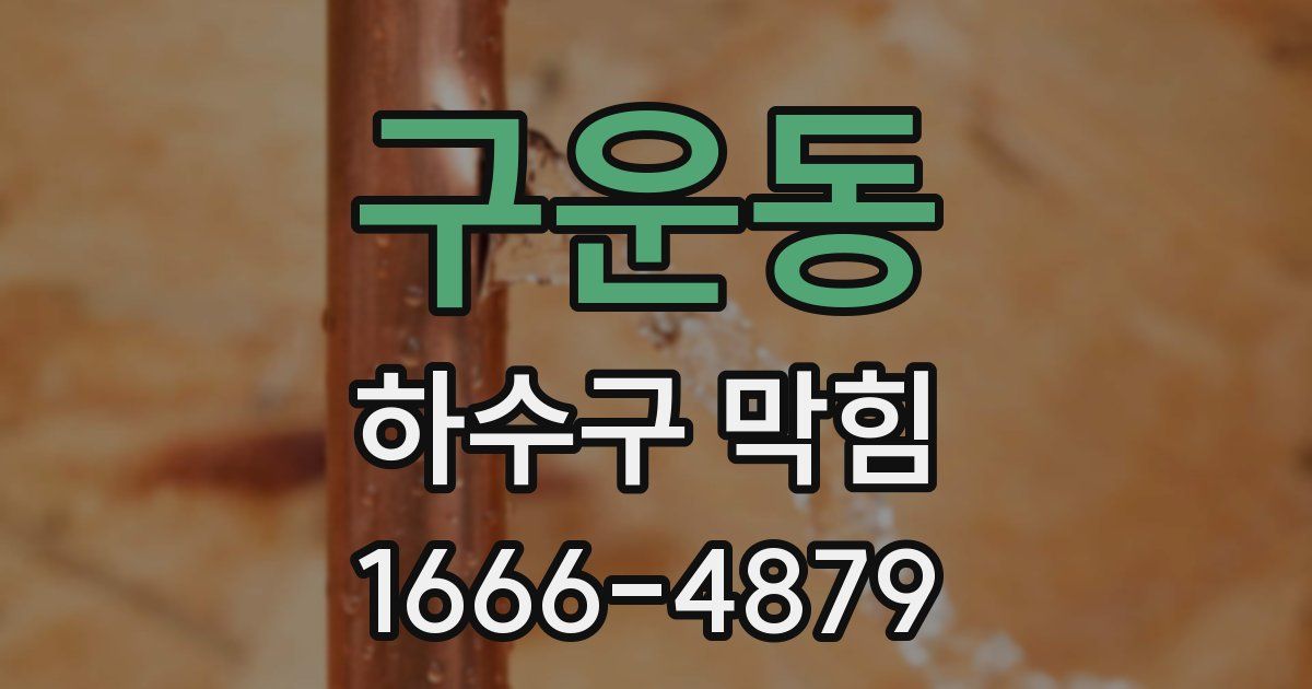 구운동 하수구 막힘