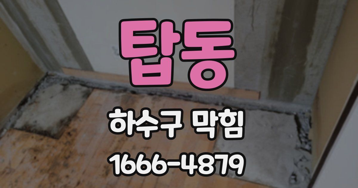 탑동 하수구 막힘