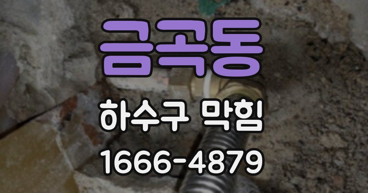 금곡동 하수구 막힘