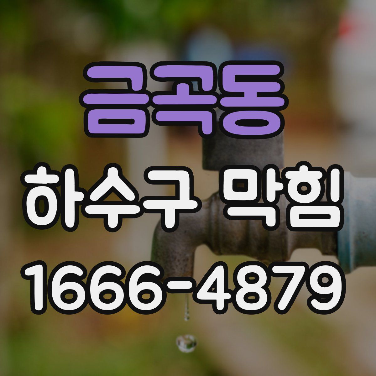 금곡동 하수구 막힘