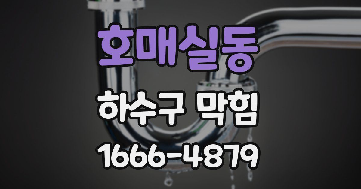 호매실동 하수구 막힘