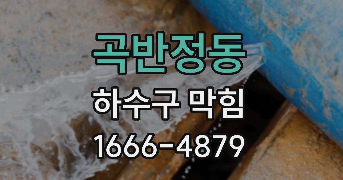 곡반정동 하수구 막힘