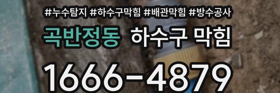 곡반정동 하수구 막힘