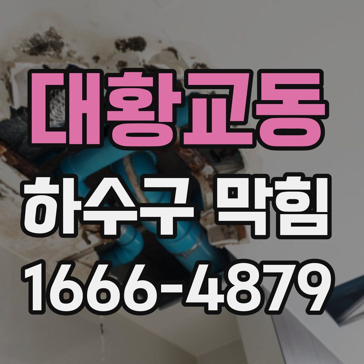 대황교동 하수구 막힘