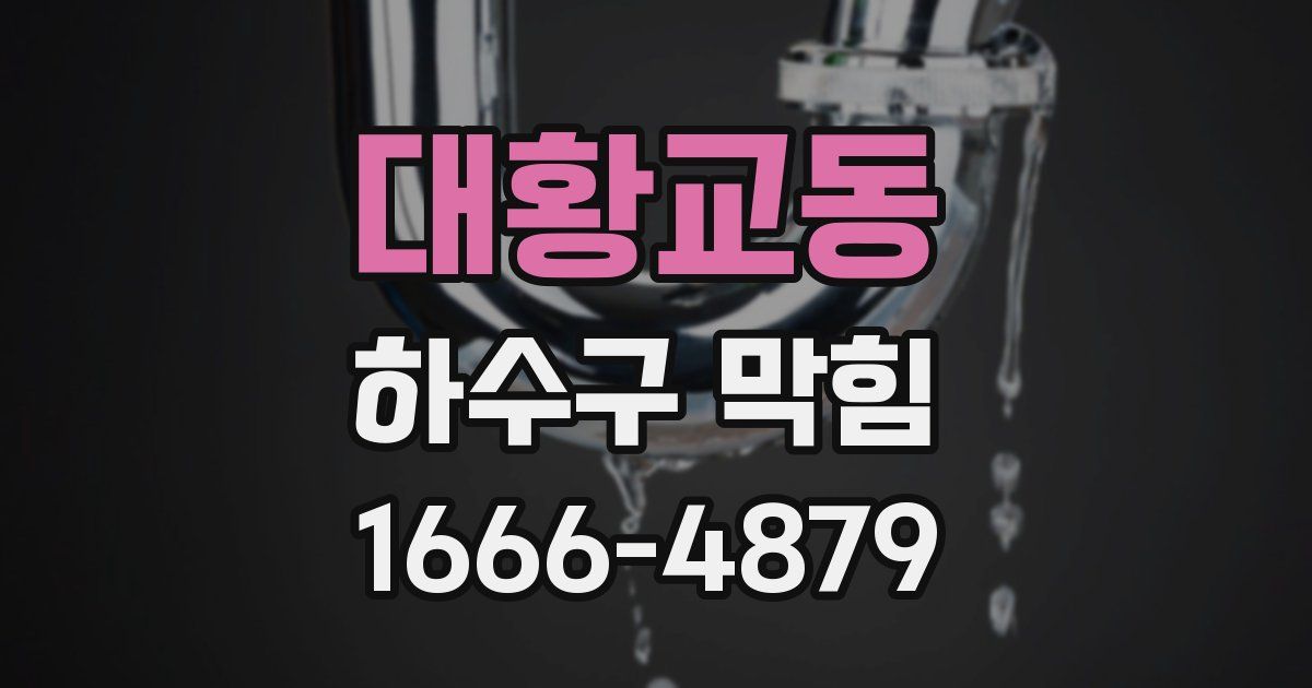 대황교동 하수구 막힘