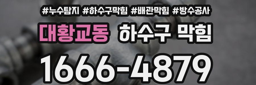 대황교동 하수구 막힘