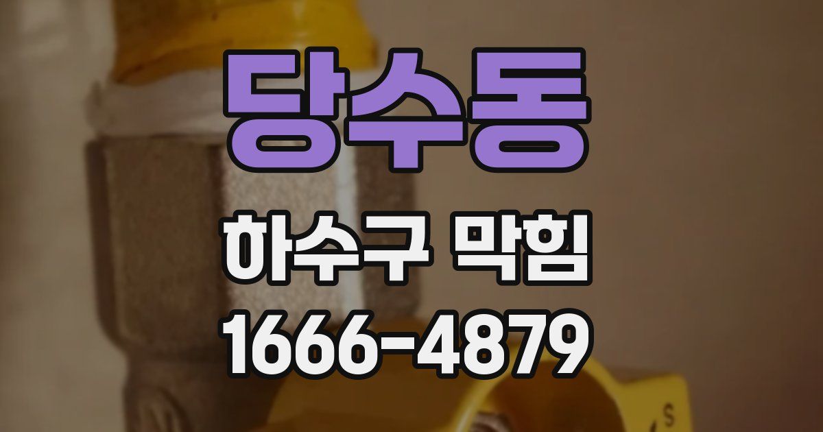 당수동 하수구 막힘
