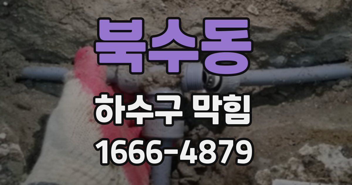 북수동 하수구 막힘