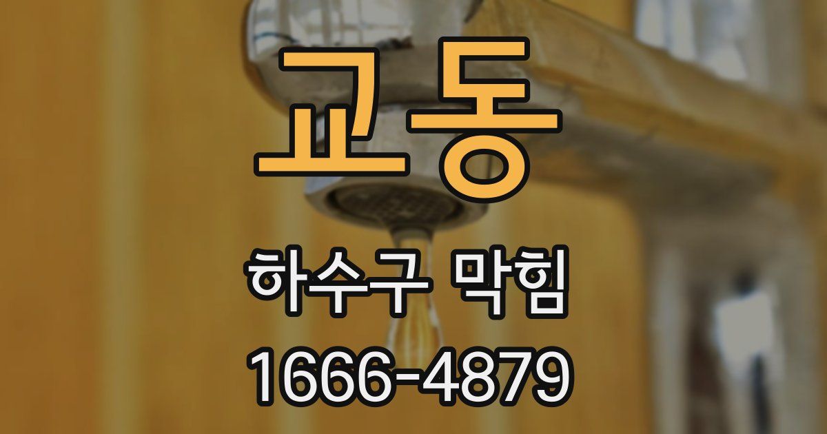 교동 하수구 막힘