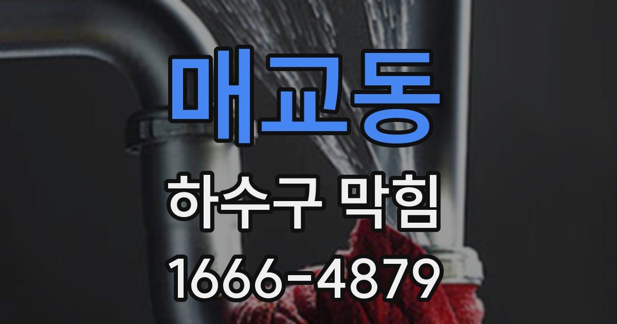 매교동 하수구 막힘