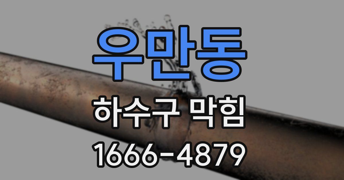 우만동 하수구 막힘