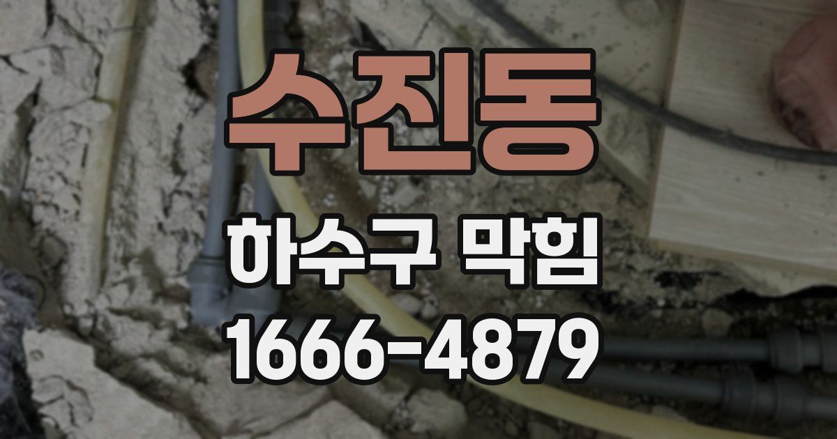 수진동 하수구 막힘