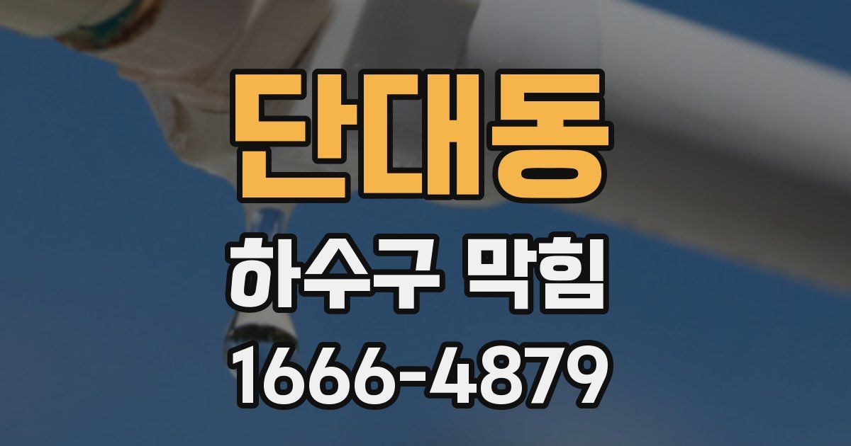 단대동 하수구 막힘