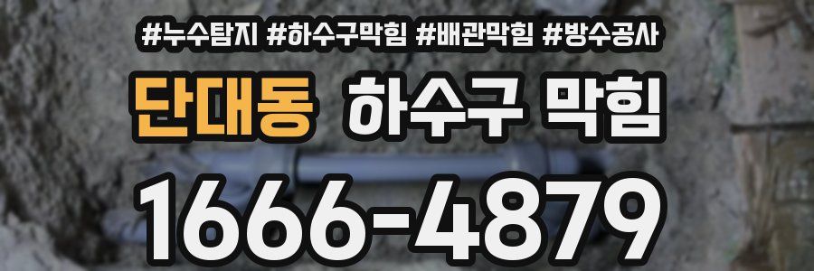 단대동 하수구 막힘