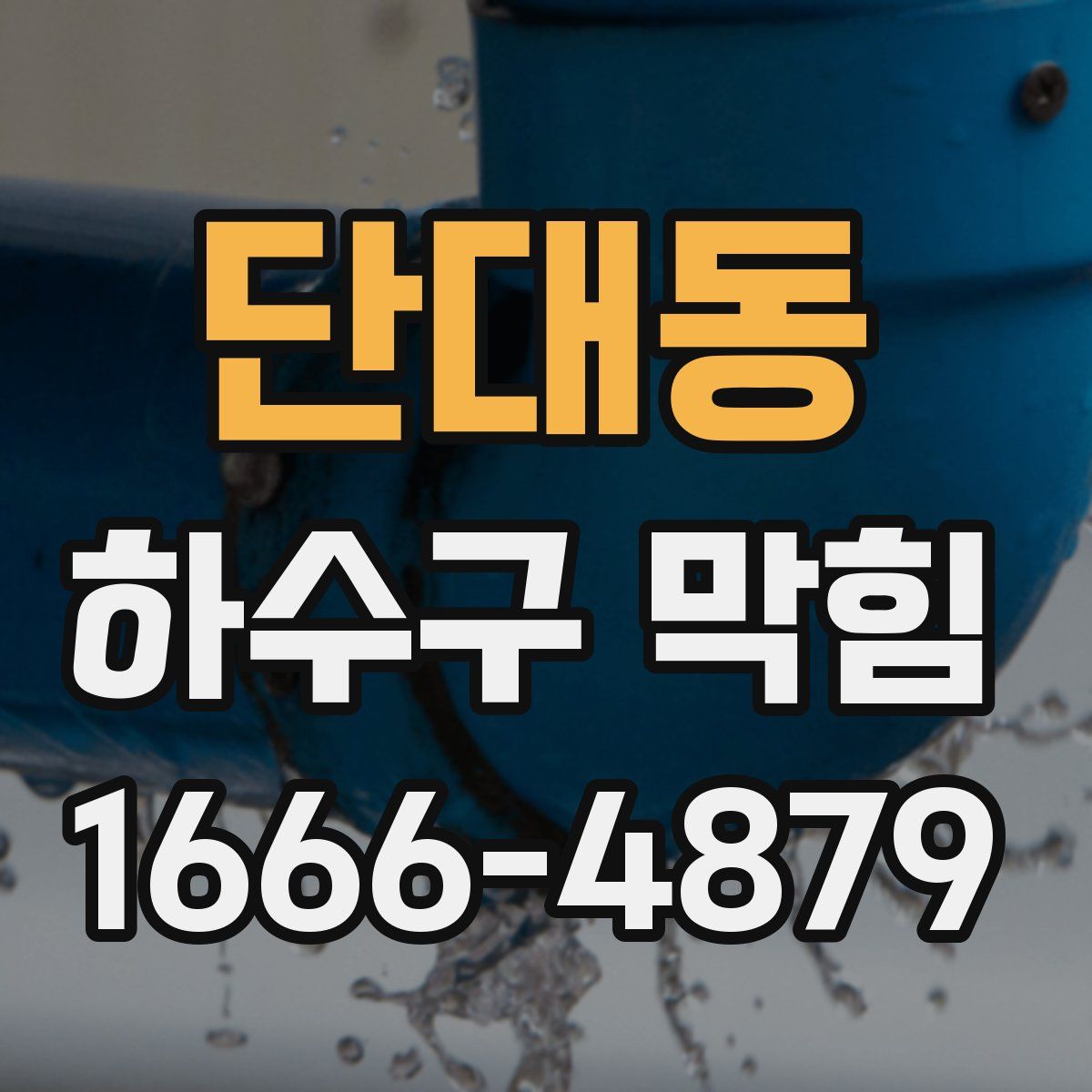 단대동 하수구 막힘