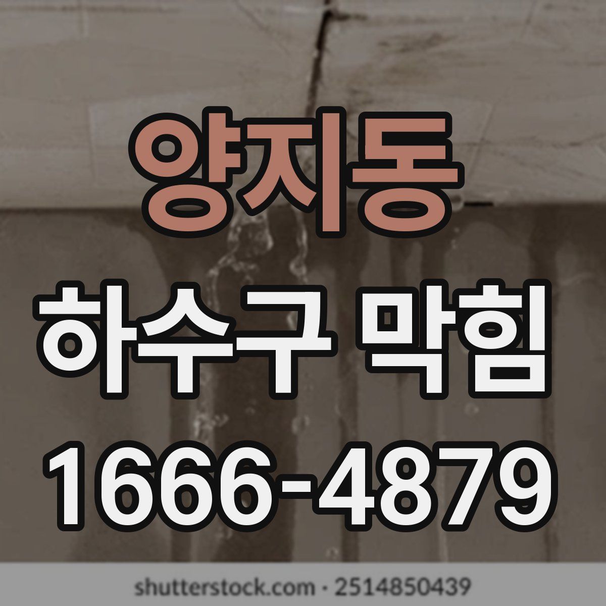 양지동 하수구 막힘