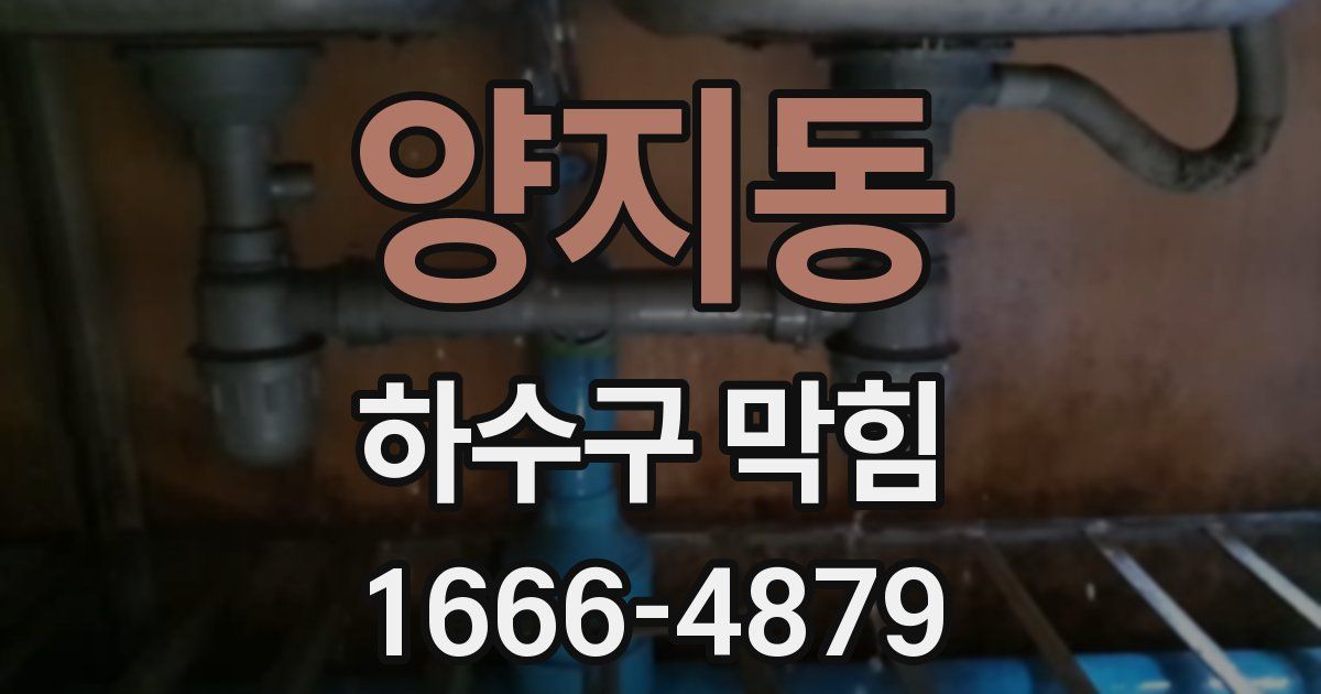 양지동 하수구 막힘