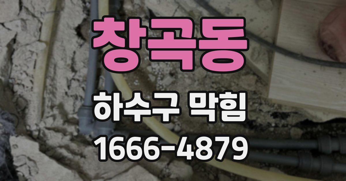 창곡동 하수구 막힘