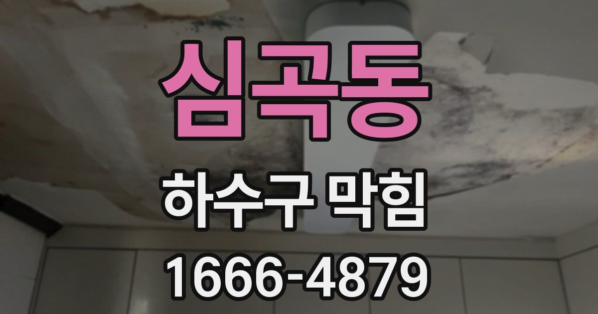 심곡동 하수구 막힘