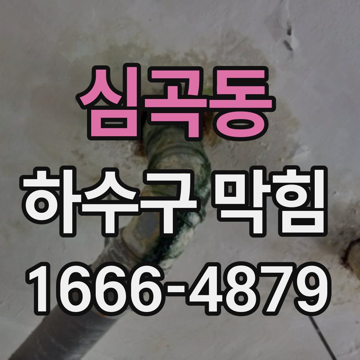 심곡동 하수구 막힘