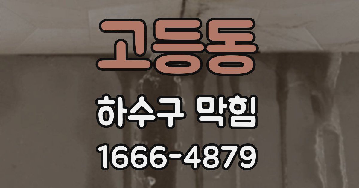 고등동 하수구 막힘