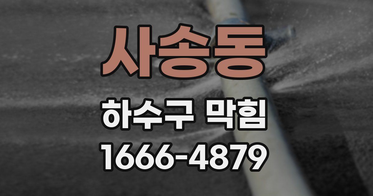 사송동 하수구 막힘