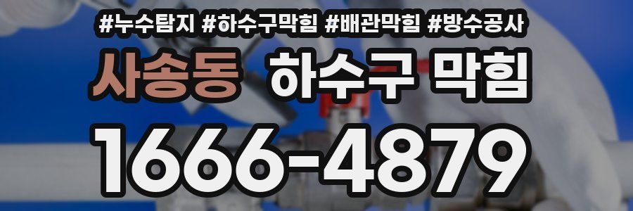 사송동 하수구 막힘